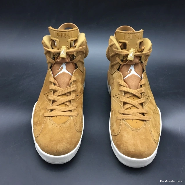 Boostmaster lin Jordan 6 